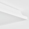 Raimea Deckenpanel LED Weiß, 1-flammig