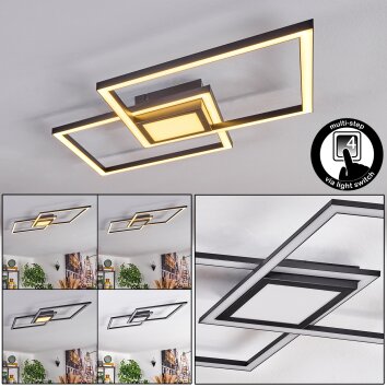 Torresella Deckenleuchte LED Schwarz, 1-flammig