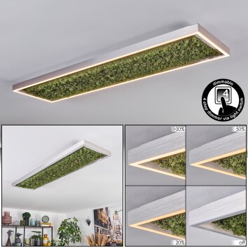 Dorel Deckenleuchte LED Grün, Silber, Weiß, 1-flammig
