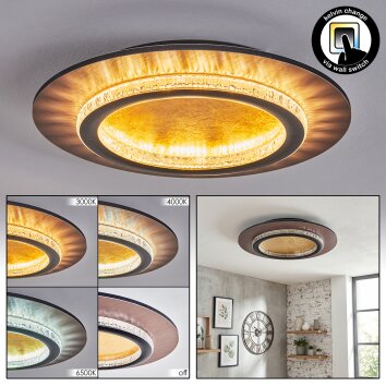 Lidor Deckenleuchte LED Gold, Schwarz, 1-flammig