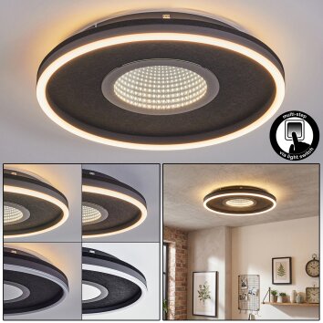 Halor Deckenleuchte LED Schwarz, 1-flammig
