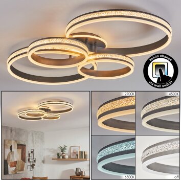 Rivex Deckenleuchte LED Titan, 1-flammig