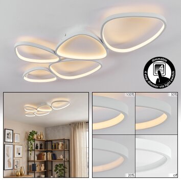 Molin Deckenleuchte LED Weiß, 1-flammig