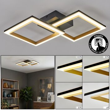 Tulor Deckenleuchte LED Schwarz, 1-flammig