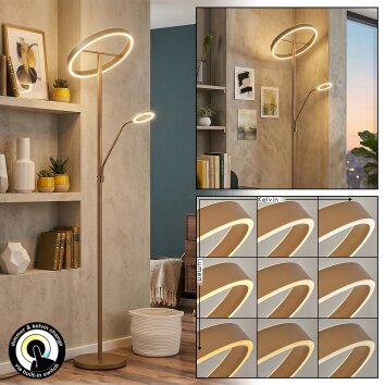 Melak Stehleuchte LED Gold, 2-flammig