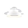 Reality LED-Deckenventilator Vansbro, dimmbar, Lichtfarbe einstellbar 2700-6500 Kelvin
