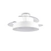 Reality LED-Deckenventilator Vansbro, dimmbar, Lichtfarbe einstellbar 2700-6500 Kelvin