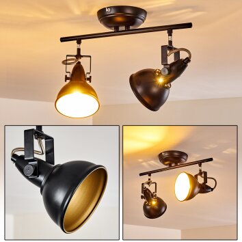 Industrial-Deckenspot Tina mit zwei schwenkbaren Gold-Schwarz-Schirmen, verstellbar
